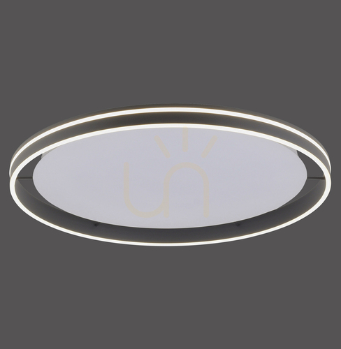 Check Plafond Q-VITO 8418-13 Anthracite 1xLED