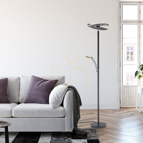 Check Floor lamp Paul Neuhaus Artur 673-13, anthracite