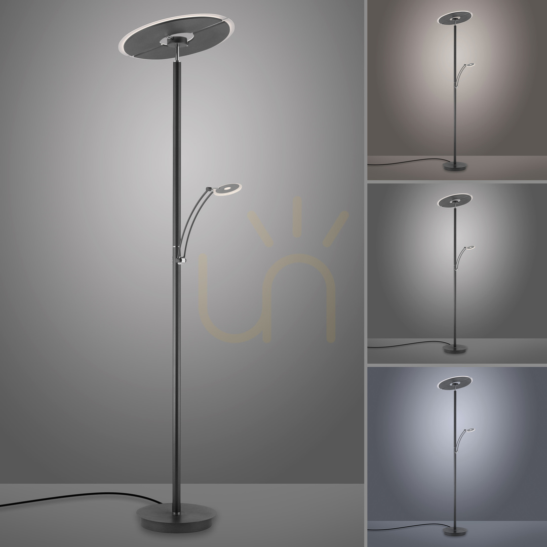 Check ARTUR Floor Lamp 673-13 Anthracite 1xLED ARTUR Floor Lamp 673-13 Anthracite 1xLED