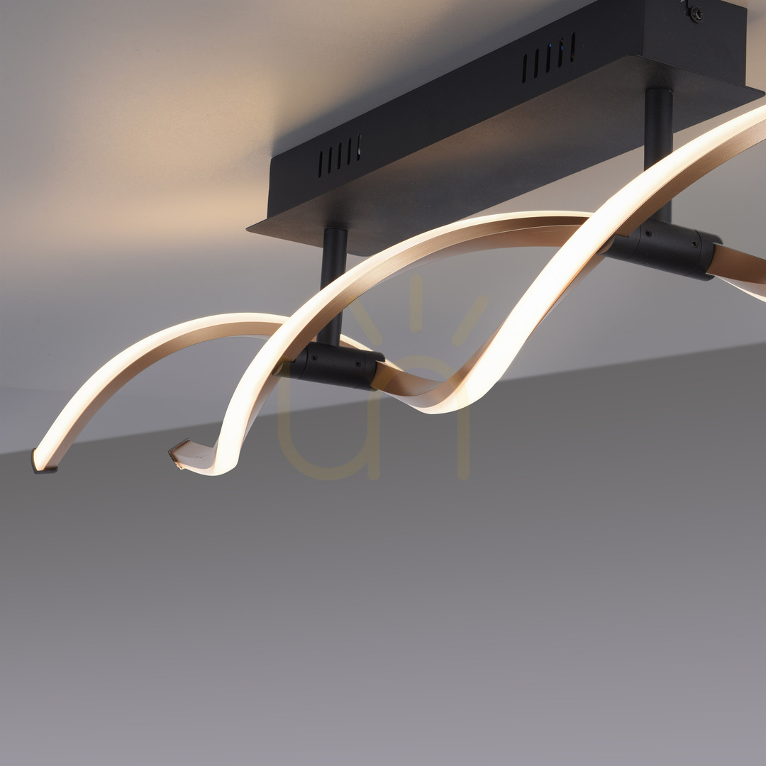 Check POLINA Plafond 9143-18 Black 2xLED POLINA Plafond 9143-18 Black 2xLED