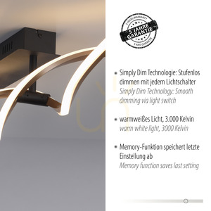 POLINA Plafond 9143-18 Black 2xLED 4 POLINA Plafond 9143-18 Black 2xLED small 4