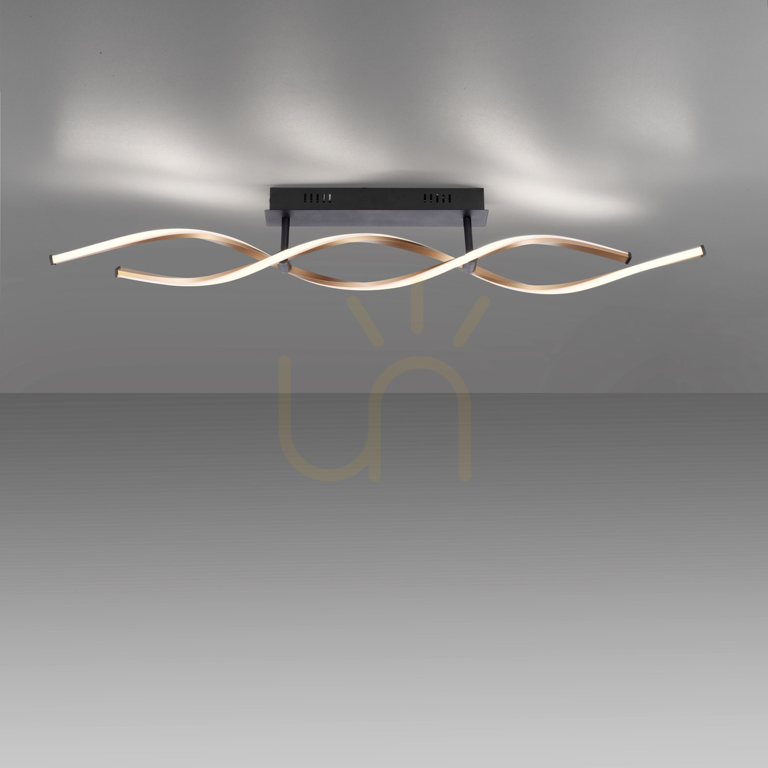 Check POLINA Plafond 9143-18 Black 2xLED POLINA Plafond 9143-18 Black 2xLED