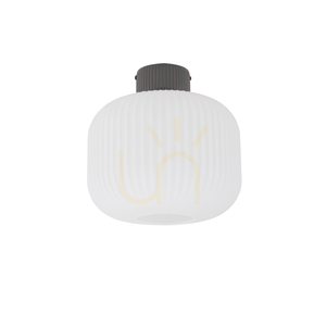 AURORA 11971 Ceiling Light by Nowodvorski small 2