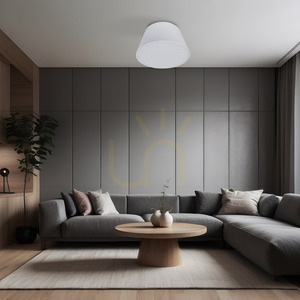 Formo White Ceiling Light 2 Xe27  380 small 1