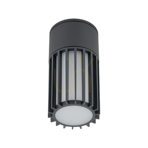 Ribo Gray Ceiling Light IP54 1 XE27 small 4