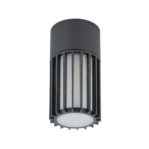 Check Ribo Gray Ceiling Light IP54 1 XE27