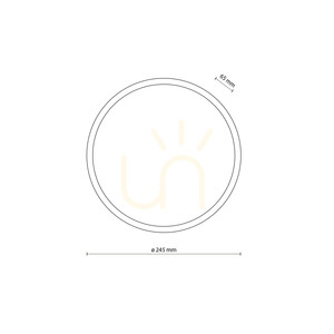 Sferis Gray Ceiling Light IP 54 small 4