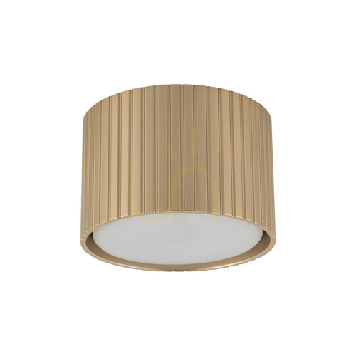 Check Ferro Champagne Downlight+ Gx53