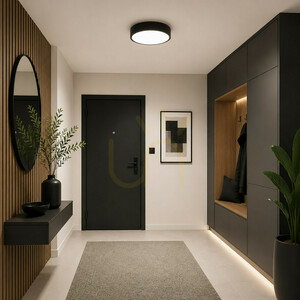 Velis Black 24 W LED Ceiling Light IP54 small 1