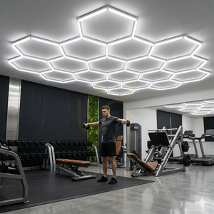 42 W Honeycomb LED Panel small 4