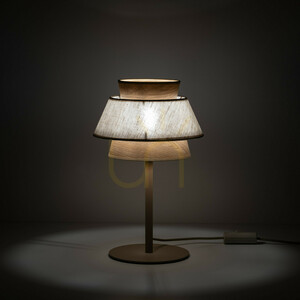 Kalum Len Night Light 1 Xe27 small 1