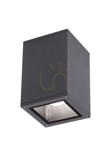 Check GES1010 Graphite Gea Luce Outdoor Ceiling Light, IP65