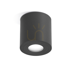 GES1074 Graphite Gea Luce Outdoor Ceiling Light, IP65 small 0