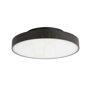 GPL350 Anthracite Gea Luce Outdoor Ceiling Light, IP65 small 0