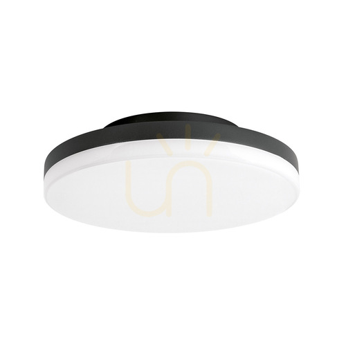 Check GPL360 Anthracite Gea Luce Outdoor Ceiling Light, IP65