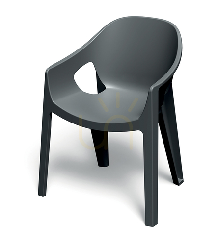 Check FPRK758 Premo Garden Chair with Armrests - Carbon Fiber by FERNE