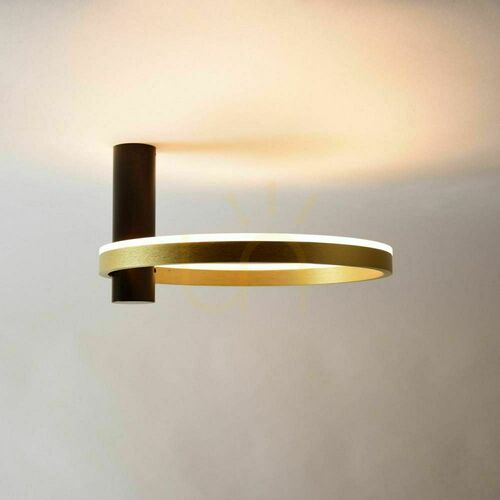 Check s.luce Ring Air LED Deckenleuchte 40 cm Silber Dimmbare Warmweiß 3000 K