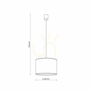 TK-Lighting DINOZAURY 10660 pendant light, E27, 30 cm small 7
