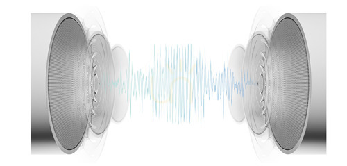 Check Black Bluetooth 5.4 speaker for 48V magnetic rail
