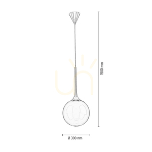 Ballare Pendant Light, Includes 1x LED 2700K 9W, Black Metal/Clear Glass Shade, Ø30 cm small 3