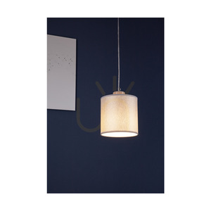 Prata Pendant Light, 1xE27, Max. 25W, Gray Metal / Transparent PVC Cable / Silver Lampshade, Ø15 cm small 2