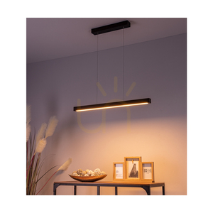 Smal 2xLED 3000K 22.5W Pendant Light, Beech and Walnut Wood / Transparent PVC Cable with Touch Dimmer, 80 cm small 3