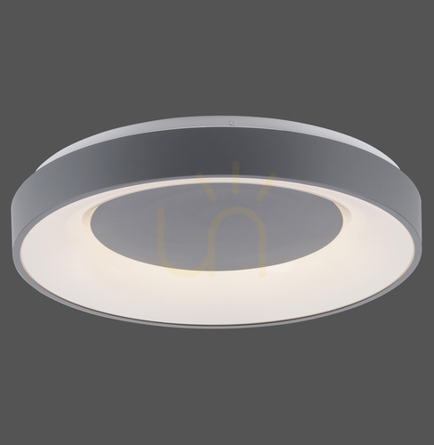 Check ANIKA 14326-18 Ceiling Light, Gray, 1xLED