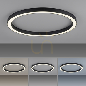 PURE-LINES 6306-13 Anthracite 1xLED Pendant Light small 5