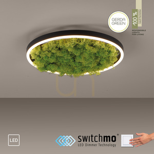 GREEN RITUS 15391-66 Ceiling Light, Beige, 1xLED small 11