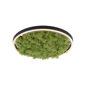 GREEN RITUS 15391-66 Ceiling Light, Beige, 1xLED small 16