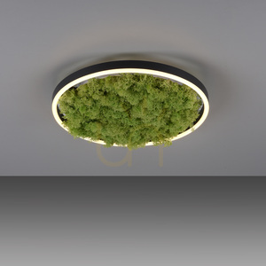 GREEN RITUS 15391-66 Ceiling Light, Beige, 1xLED small 9