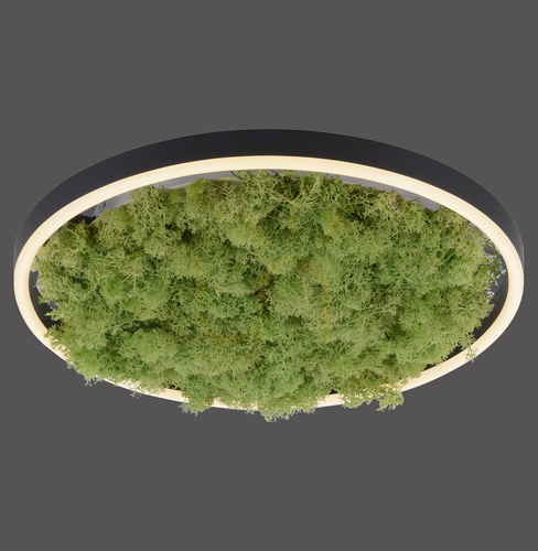 Check GREEN RITUS 15391-66 Ceiling Light, Beige, 1xLED