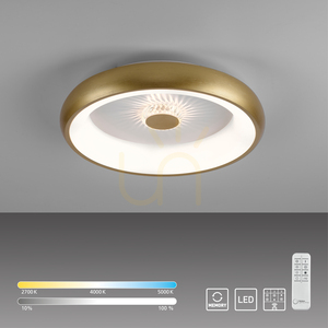 VERTIGO 14384-60 Brass Ceiling Light, 1xLED small 12