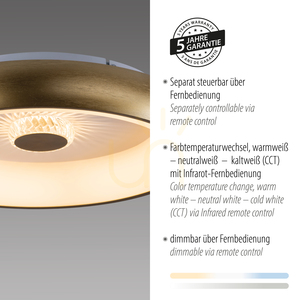 VERTIGO 14384-60 Brass Ceiling Light, 1xLED small 4