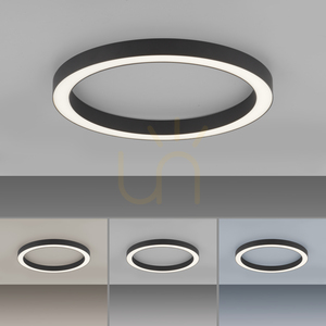 PURE-LINES 6309-13 Ceiling Light, Anthracite, 1xLED 5 PURE-LINES 6309-13 Ceiling Light, Anthracite, 1xLED small 5