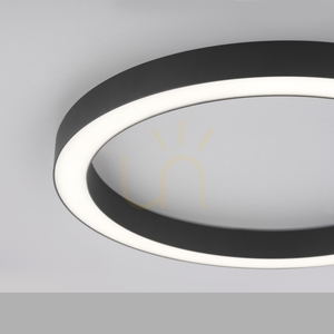 PURE-LINES 6309-13 Ceiling Light, Anthracite, 1xLED 9 PURE-LINES 6309-13 Ceiling Light, Anthracite, 1xLED small 9