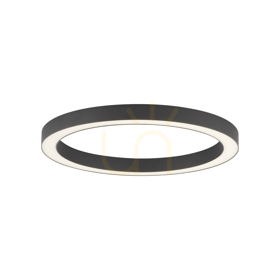Check PURE-LINES 6309-13 Ceiling Light, Anthracite, 1xLED PURE-LINES 6309-13 Ceiling Light, Anthracite, 1xLED