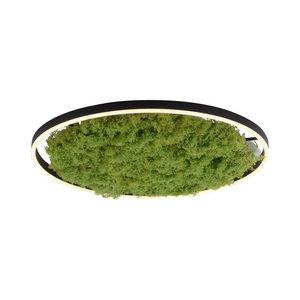 GREEN RITUS 15392-66 Beige Ceiling Light, 1xLED 16 GREEN RITUS 15392-66 Beige Ceiling Light, 1xLED small 16