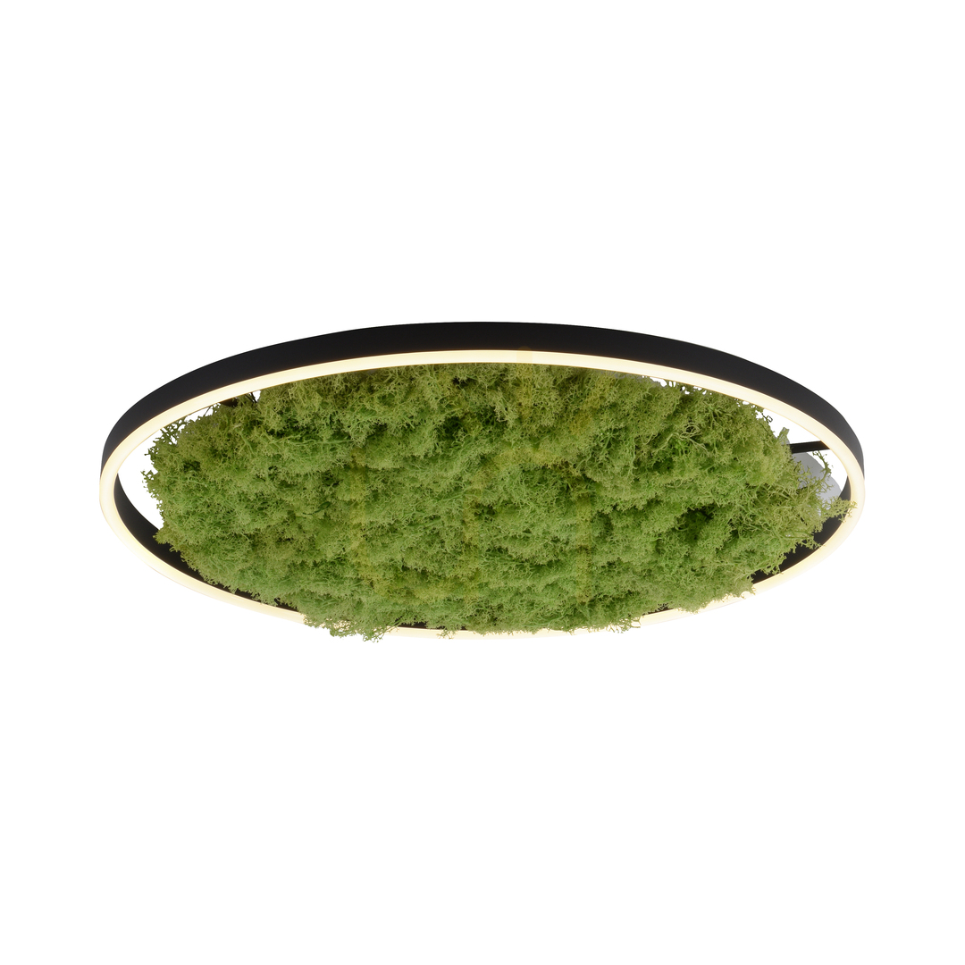 View GREEN RITUS 15392-66 Beige Ceiling Light, 1xLED GREEN RITUS 15392-66 Beige Ceiling Light, 1xLED