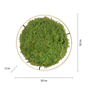 GREEN RITUS 15392-66 Beige Ceiling Light, 1xLED 7 GREEN RITUS 15392-66 Beige Ceiling Light, 1xLED small 7