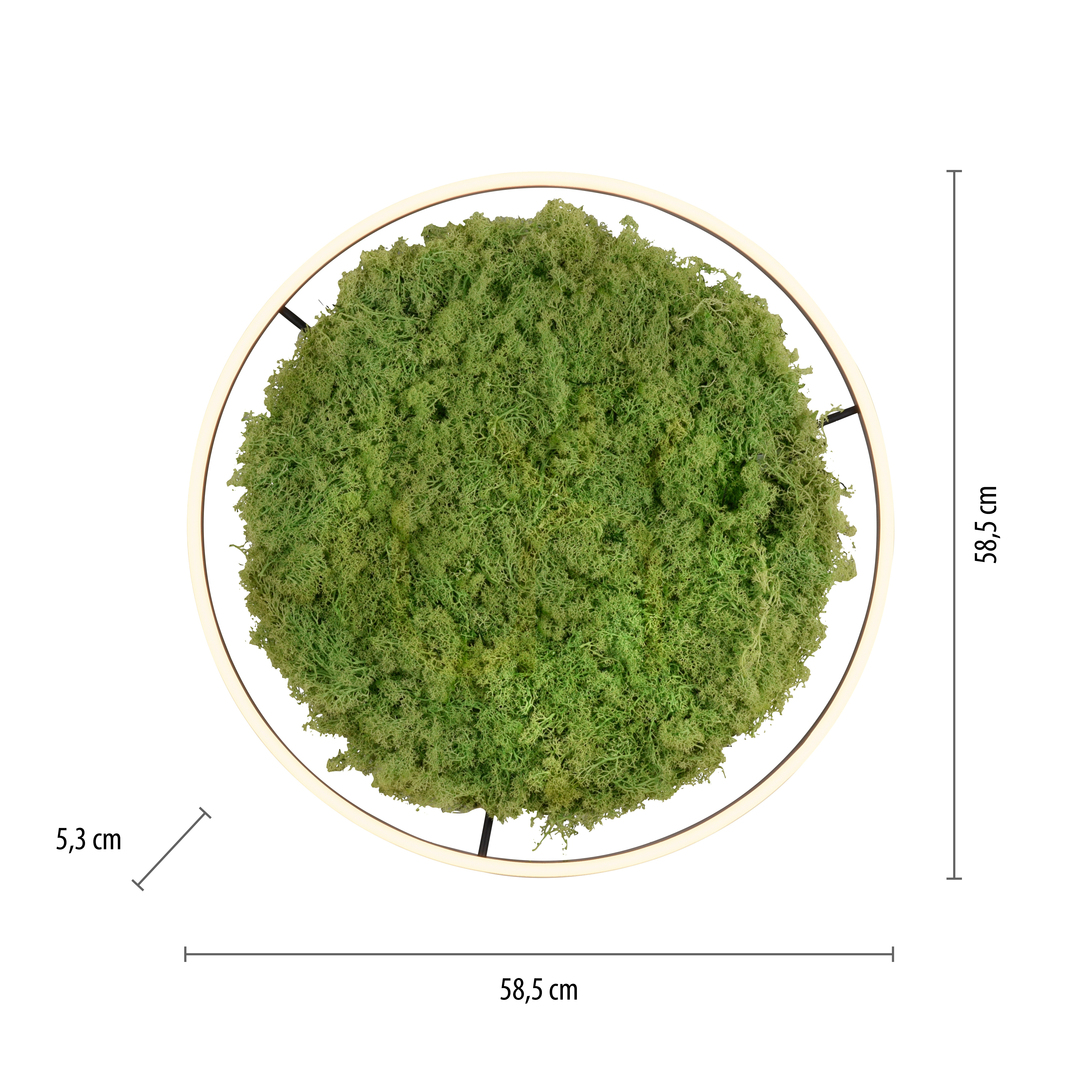 Preview GREEN RITUS 15392-66 Beige Ceiling Light, 1xLED GREEN RITUS 15392-66 Beige Ceiling Light, 1xLED