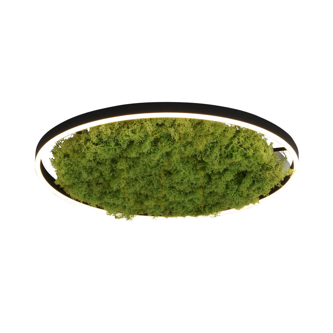 Check GREEN RITUS 15392-66 Beige Ceiling Light, 1xLED GREEN RITUS 15392-66 Beige Ceiling Light, 1xLED