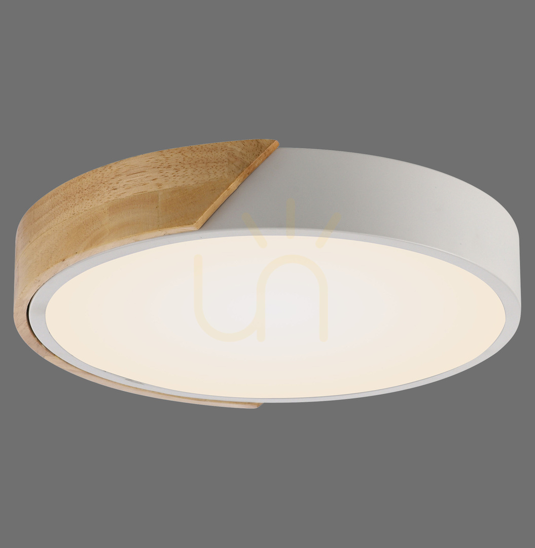 Check BILA 14288-16 Black Ceiling Light, 1xLED BILA 14288-16 Black Ceiling Light, 1xLED