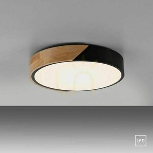 BILA 14288-18 Black Ceiling Light, 1xLED small 11