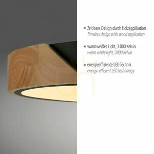 BILA 14288-18 Black Ceiling Light, 1xLED small 14