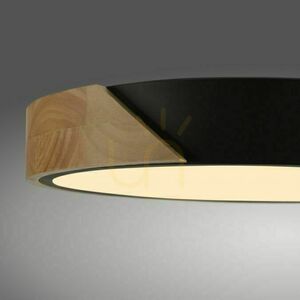 BILA 14288-18 Black Ceiling Light, 1xLED small 15