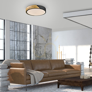 BILA 14288-18 Black Ceiling Light, 1xLED small 2