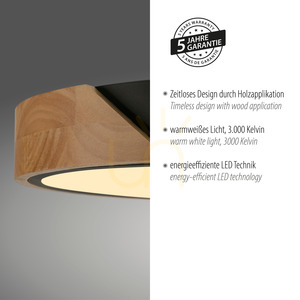 BILA 14288-18 Black Ceiling Light, 1xLED small 4