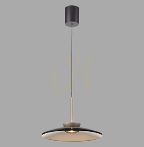 Paul Neuhaus PURE E-Moon 2195-97 brown 2xLED pendant light, electrically height adjustable small 18