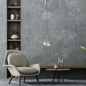 Q-ROTATE 2247-95 Silver 1xLED Pendant Light small 2